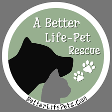 Show compassion to all animals in our care. Pets For Adoption At A Better Life Pet Rescue In Ocoee Fl Petfinder