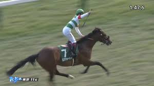 名無しさん＠実況で競馬板アウト 2021/02/14(日) 15:48:04.68 id:a6zcc+ry0 これは怪物 2: å±åéä¿¡æ¯2021 åºèµ°äºå®é¦¬ äºæ³ãªããº çµæ ã¯ã©ã·ãã¯ã¸ã®ç»ç«é