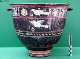 Image result for Dignathia