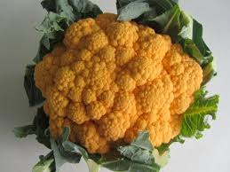 Chou Fleur Orange Fleur Orange Chou Fleur Choux