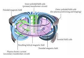 Nuclear Physics Nuclear Fusion