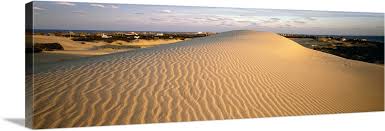 How do sand dunes form? Sand Dune At Sunset Outer Banks North Carolina Wall Art Canvas Prints Framed Prints Wall Peels Great Big Canvas