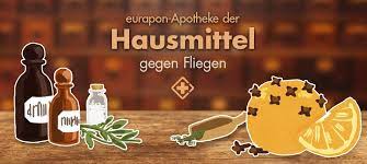 Ameisen im haus sind unwillkommen. Hausmittel Gegen Fliegen Eurapons Apotheke Der Hausmittel