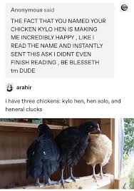 19 Tumblr Posts About Chickens You Didn T Know You Needed Until Right Now Star Wars Humor Tumblr Funny Tumblr Posts