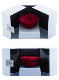 Red Mega Preserved Rose Swing Opening Box Rose Rose Gift Forever Rose