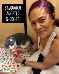 Meet Nemo!! He is about 3 years old and was found needing a better life. He  likes pets and if you open a can of Friskies wet food it's the magic  password