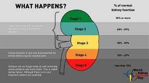 What is stage 1 kidney disease. World Kidney Day On Twitter Frequently Kidneydisease Starts Slowly And Silently And Progresses Over A Number Of Years Not Everyone Progresses From Stage 1 To Stage 5 Stage 5 Is Also Known