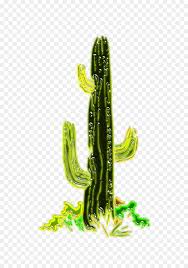 Barrel cactus is found in the deserts of southwestern the united states and canada. Cactaceae California Desert Barrel Cactus Landscape Plant Wuste Png Herunterladen 591 1280 Kostenlos Transparent Anlage Png Herunterladen