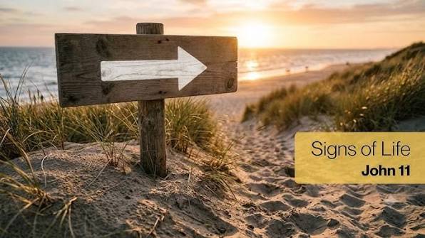 Signs of Life - John 11