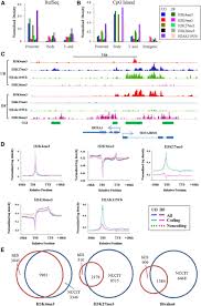 ∗ p < 0.05, ∗∗ p < 0.01; Global Analysis Of Histone Modification Patterns In Ec Cells A Download Scientific Diagram