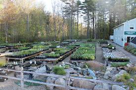 When you want to brighten someone's day or send your best wishes with a fresh and colorful floral arrangement, avas flowers can help you choose the perfect flowers for the occasion. Garden Center York Me Coastal Landscaping Garden Center