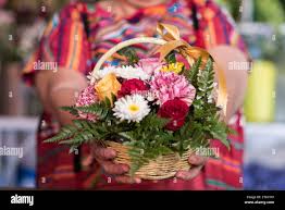 Image result for Rhynchosia luteola