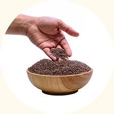 Image result for Centrosema pubescens