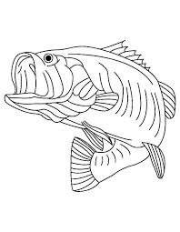 Coloring Pages Stunning Bass Fish Coloring Pages Bass Fishing Coloring Pages Fish For 1jpg Bass Fish Coloring Pa Fish Coloring Page Fish Outline Coloring Pages