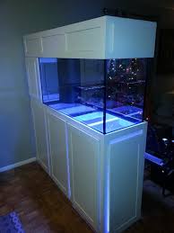 New Build 90gal Room Divider Reef Central Online Community Aquarium Stand Diy Aquarium Wall Aquarium