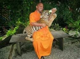 Thanks for reading the post about yogi adityanath height, age, body measurements, biography, family, net worth & wiki. Pin On Animals