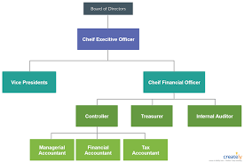Finance Department Structure You Can Edit This Template And