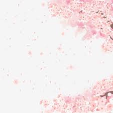 Cherry Blossom Romantic Sakura Petal Cherry Blossom Petals Cherry Blossom Season Pink Petals Cherry Png Transparent Clipart Image And Psd File For Free Downl In 2020 Cherry Blossom Petals Cherry Blossom