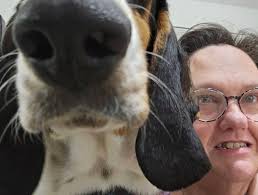 Criticism of Jimmy Buffett's Music and Fanbase