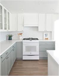 Grey Kitchen Cabinets With White Appliances Exitallergy From What Color Kitchen Cabinets G White Modern Kitchen White Kitchen Appliances Kitchen Cabinet Colors
