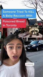 Teri Herring's Instagram, Twitter & Facebook