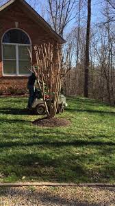 Africanized honey bees will follow a victim about 440 yards. Lawn Doctor Of Greater Richmond 173 Photos Pest Control Service