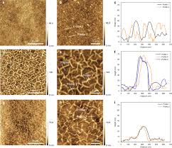 Is an innovative and modern company with modern and effective production plants. Asymmetric Polyamide Nanofilms With Highly Ordered Nanovoids For Water Purification Nature Communications