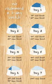 How To Change Your Dogs Food Brand In 7 Days Pawtorium