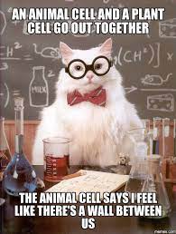Animal and plant cell jokes. 160 Cell Biology Ideas Biology Teaching Biology Science Biology