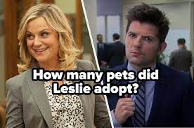 It's like the trivia that plays before the movie starts at the theater, but waaaaaaay longer. Quiz Can You Pass This Oddly Specific Parks And Recreation Trivia Quiz