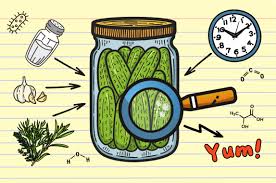 Image result for Home Cooking Fermentation