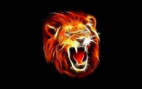 What is the use of a desktop. Lion Desktop Wallpaper Kolpaper Awesome Free Hd Wallpapers