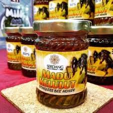Jakarta madu murni telah digunakan sebagai obat tradisional sejak zaman dulu karena mengandung berbagai manfaat bagi kesehatan. 10 Lebah Kelulut Ideas Stingless Bees Bee Pollination