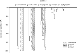 Image result for Baphia massaiensis