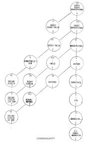 Lbprinc Consanguinity Chart