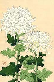 Japanese Art Flowers Floral Botanical Art Prints White Etsy Botanical Art Prints Japan Flower Flower Art