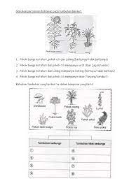 Ada berbagai macam bentuk daun. Latihan Sains Tahun 1 Itlak Dan Kelas Pdf