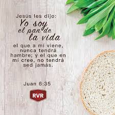 Rvr Versiculo Biblico Diario Juan 6 35 Citas Biblicas Para Ninos Relacion Con Dios Frases Bonitas De Buenos Dias