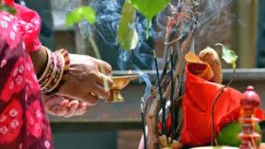 Shop puja samagri, puja kit, divine gifts & book my pooja online in india. Happy Vat Purnima 2019 à¤˜à¤° à¤¤ à¤² à¤¸ à¤µ à¤¸ à¤¨ à¤¨ à¤ª à¤°à¤¥à¤® à¤¸à¤• à¤³ à¤¹ à¤• à¤° à¤¯ à¤•à¤° à¤µ à¤ª à¤° à¤ª à¤¤ à¤¹ à¤ˆà¤² à¤¸ à¤– à¤¸à¤® à¤¦ à¤§ Latestly à¤®à¤° à¤ 