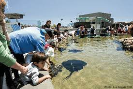 Explore tourist attractions and things to do in los angeles ca today, this week or weekend. Top 10 Things To Do With Kids In Los Angeles Familiesgo