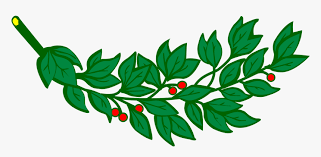 Laurel leaves vector clipart and illustrations (14,907). Laurel Branch Laurel Leaves With Red Fruits Clipart Hd Png Download Transparent Png Image Pngitem