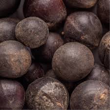 Image result for Sapindus saponaria