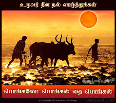 #pongalgreetingcard #greetingcard #craftwithpaperhow to make pongal greeting card easy/pongal greeting card in tamil/pongal greeting card for kidshello frien. 25 Beautiful Pongal Greeting Cards And Design Ideas In Tamil