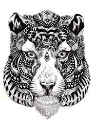 Les Illustrations Expressives De Iain Macarthur Animaux A Colorier Illustrations Animalieres Coloriage Animaux