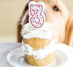 Stir flour, baking soda, baking powder, peanut butter, oil, applesauce, egg and honey. 12 Best Dog Cake Recipes Homemade Cake For Your Pup