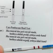 Keberanian, sabar, tenang, dapat mengendalikan diri, dan tekad pantang mundur; Playground Of Eyes And Mind Positive Testpack Pregnancytest Pregnancy