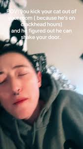 Cats Locked Out of Room