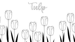 Stap Voor Stap Bloemen Leren Tekenen Edding Leer Tekenen Tekenen Schetsen Tekenen