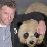 Elektroautos: Zu groß, zu wenig, zu teuer