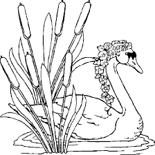 Whitepages is a residential phone book you can use to look up individuals. Swans Free Printable Coloring Pages Coloringpagesfun Com Coloring Library